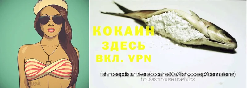 как найти наркотики  Луга  Cocaine Перу 